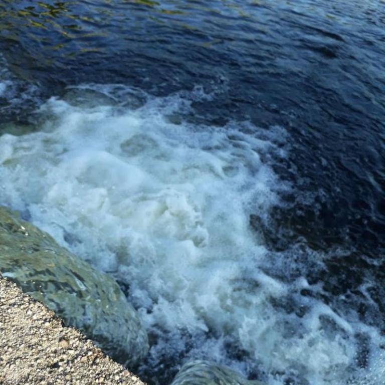 Cabaña Los Algarrobos - Bungalow con vistas al jardín - 6