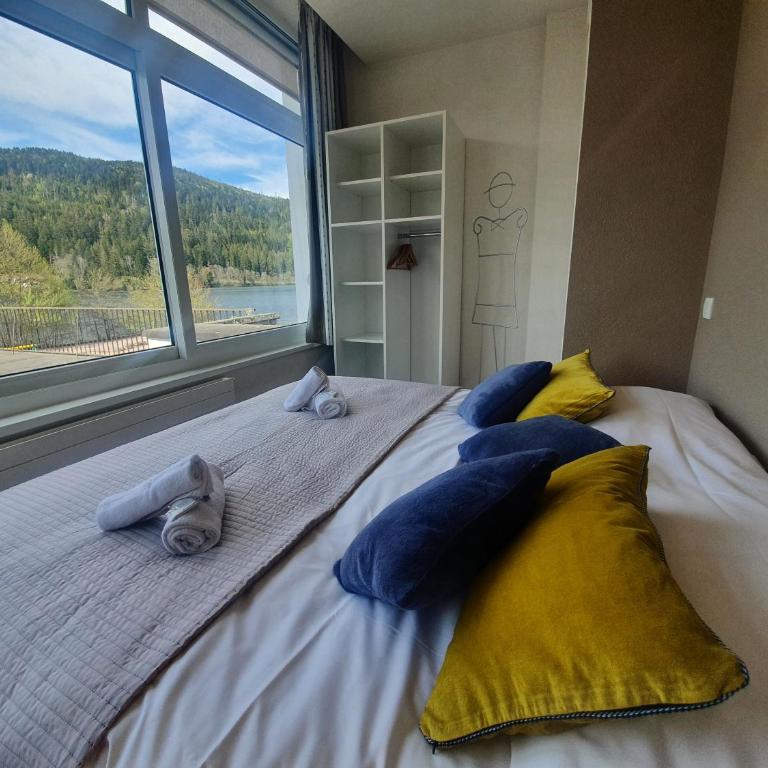 Appart'Hôtel LIDO au bord de l'eau - Appartement Confort 2 Personnes avec Vue sur Lac - 3