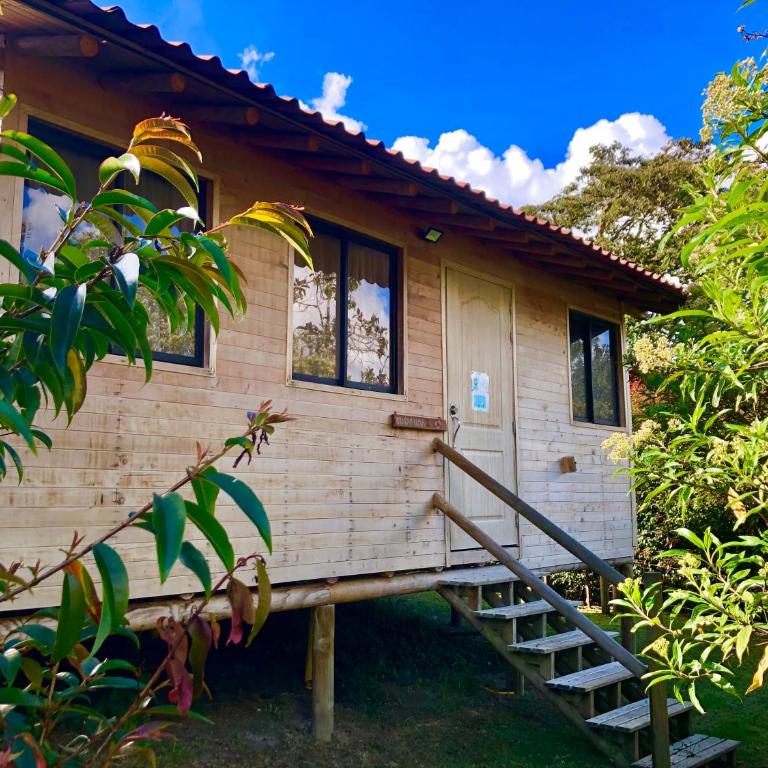 Crisantema 2 - Casa de 2 dormitorios - 1