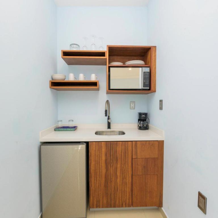 Suites de La Parra - Suite Presidencial - 2