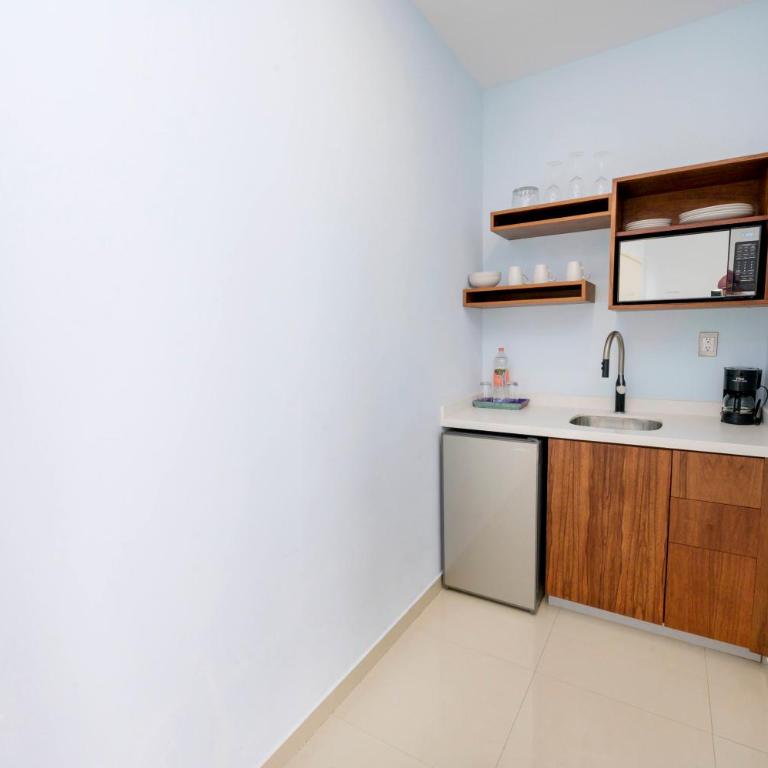 Suites de La Parra - Suite Presidencial - 4