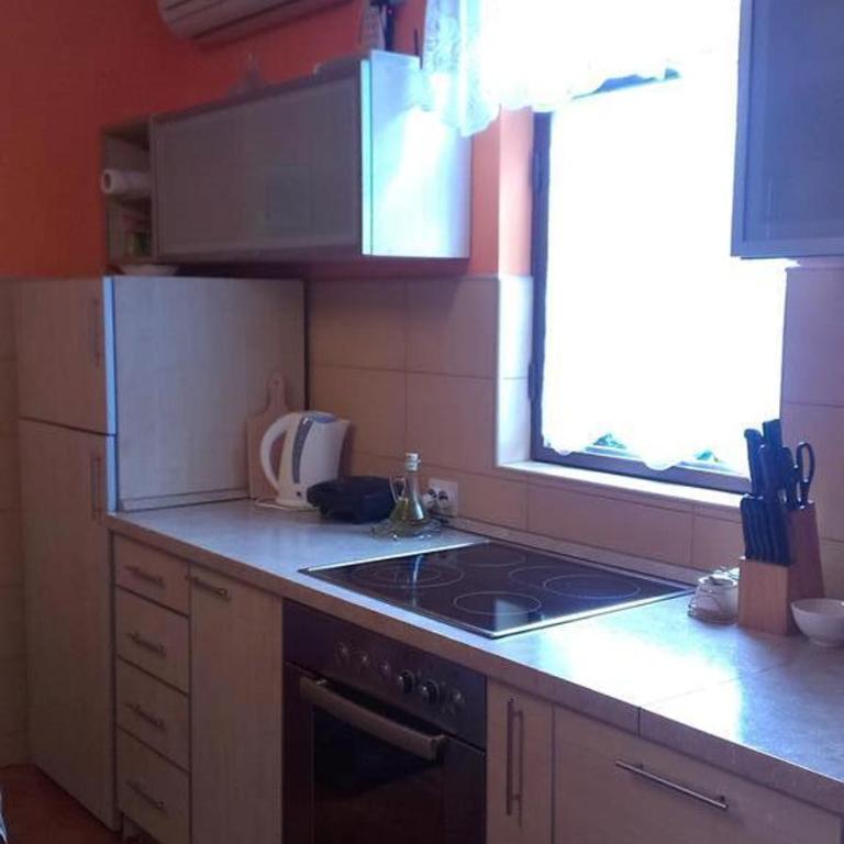 Apartments Penovic - One-Bedroom Apartment with Terrace - 1