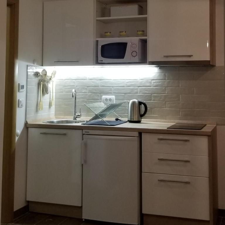 Apartman Paunovi Čardaci sa garažnim mestom - Apartman sa 1 Spavaćom Sobom - 12