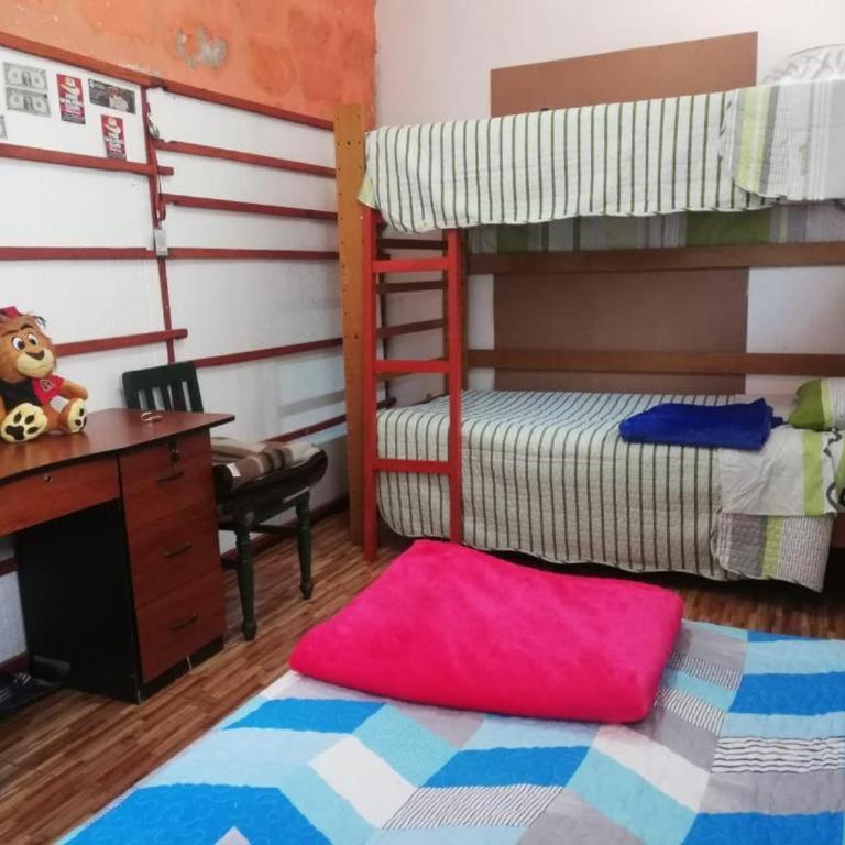 Hostel Viajeros Arequipa - Female Dormitory Room - 2