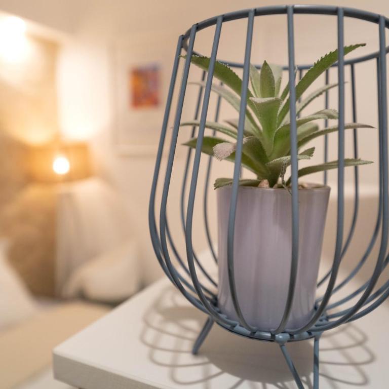 Magic Design Nice - Appartement 1 Chambre - 4