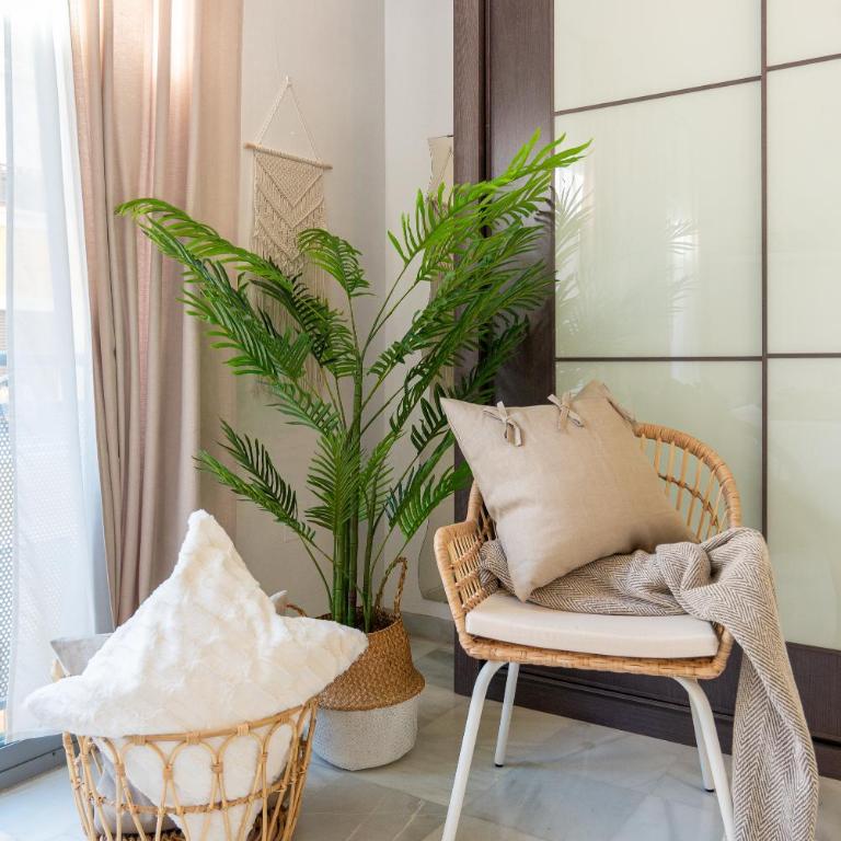 Trinidad - Apartamento de 1 dormitorio - 13