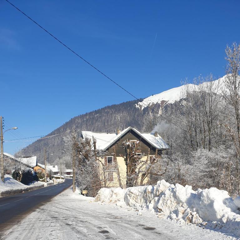La Chanterelle Apartment - Appartement 2 Chambres - 4
