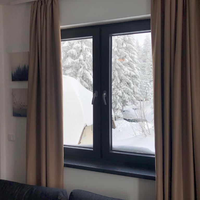 Vila Montana Kopaonik Apartman 6 - One-Bedroom Apartment - 7