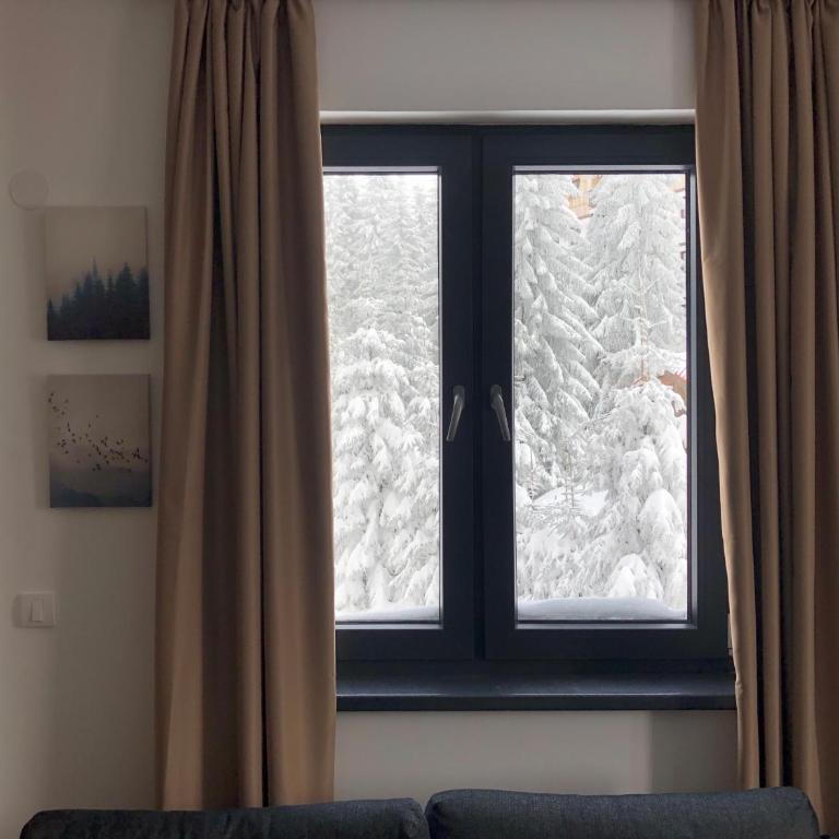 Vila Montana Kopaonik Apartman 6 - One-Bedroom Apartment - 6