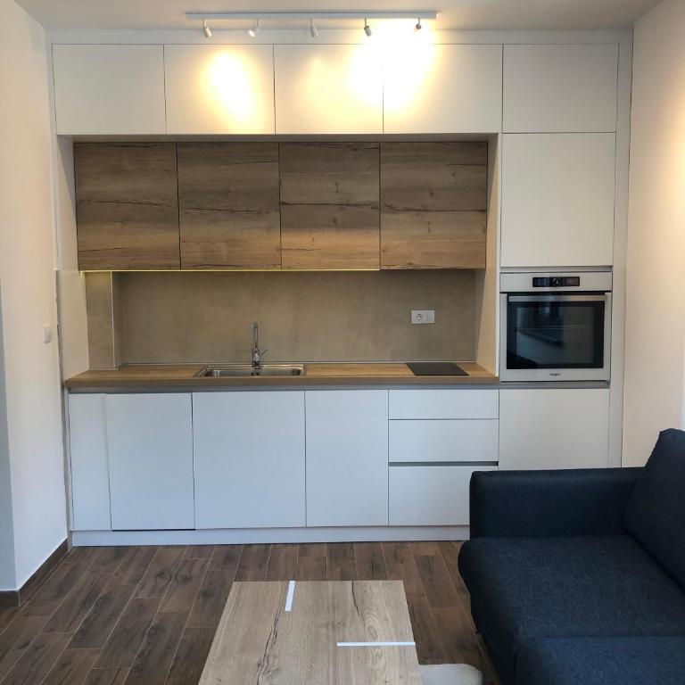 Vila Montana Kopaonik Apartman 6 - One-Bedroom Apartment - 10