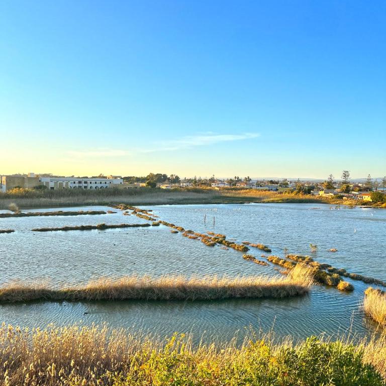 Calauriia Apartments Marzamemi - Appartamento con 2 Camere da Letto - 1