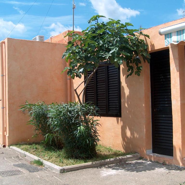 Villetta Sunrise Colibrì - One-Bedroom House - 4