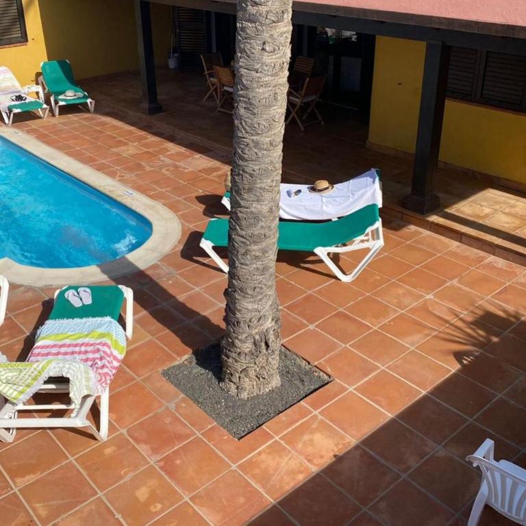 Villa Tamarindo 5 - Casa - 51