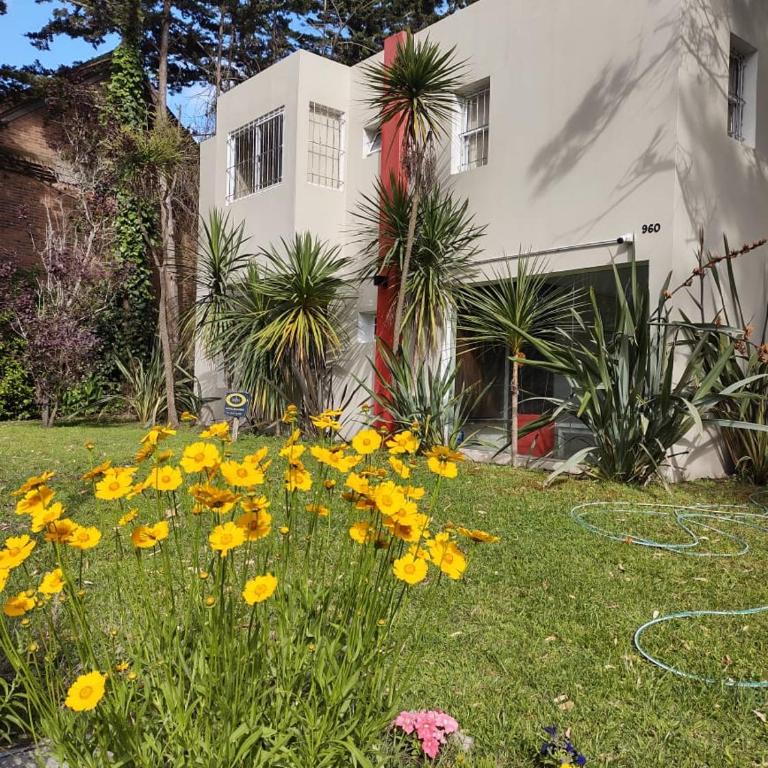 valle encantado - Apartamento de 1 dormitorio - 1