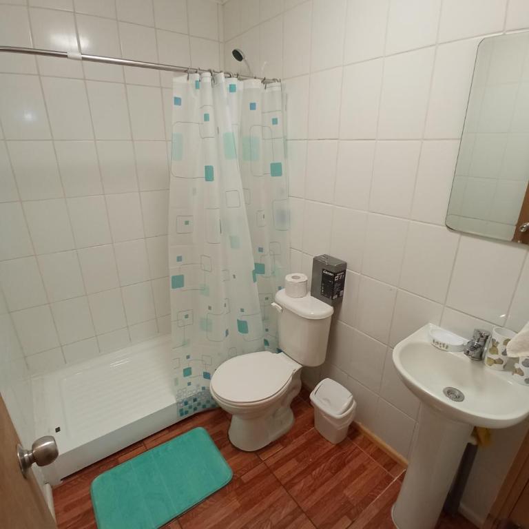 Casa Parque Villarrica, Los Albatros - Casa con 1 dormitorio - 3