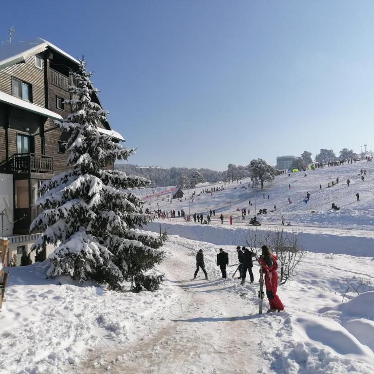 Moja kuća Zlatibor - Apartman sa 2 Spavaće Sobe - 4