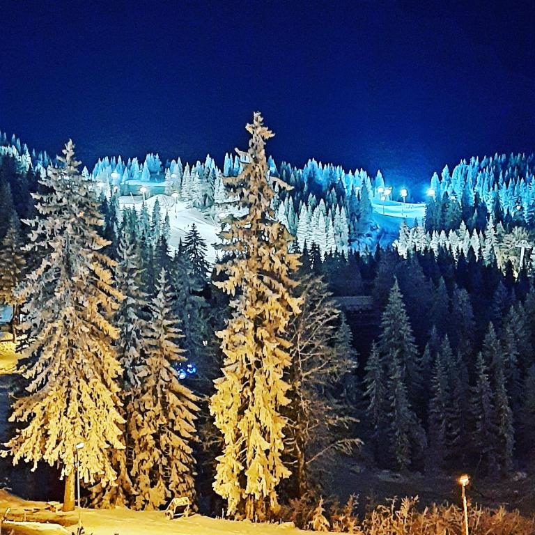 Pino apartman Jahorina - One-Bedroom Apartment - 3