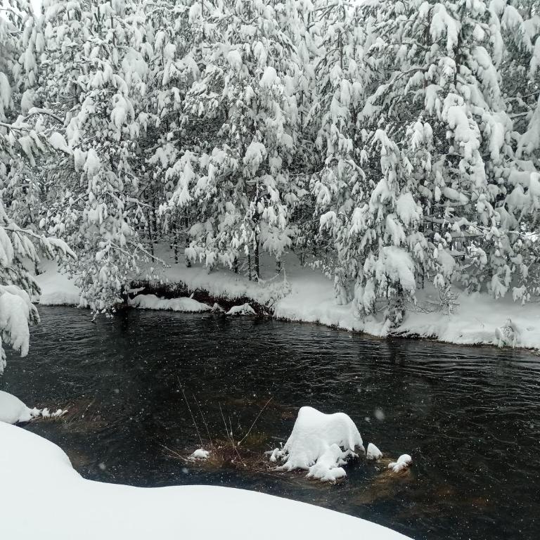 Garac Zlatibor Vikendica - Vikendica - 38