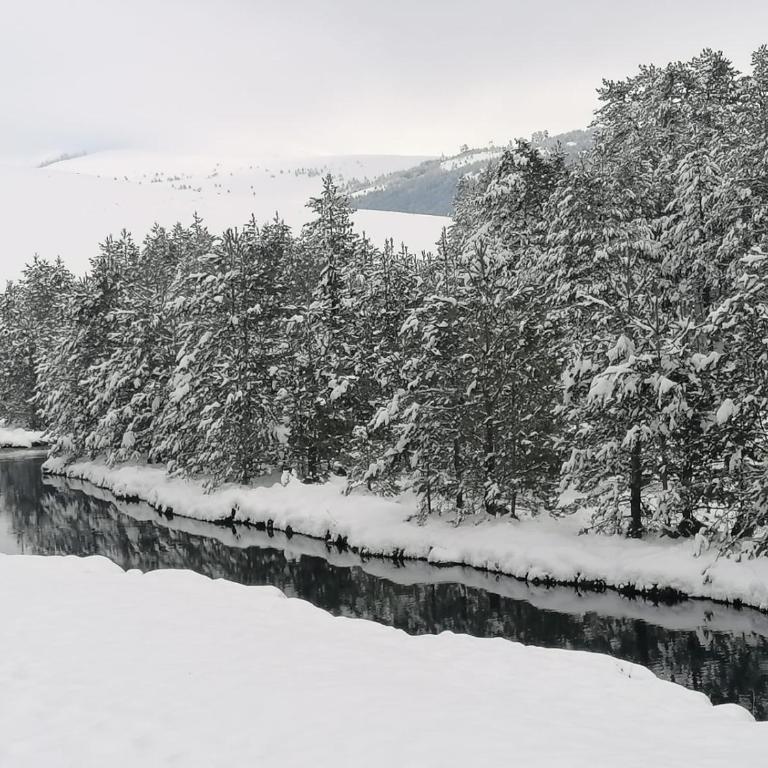Garac Zlatibor Vikendica - Vikendica - 39
