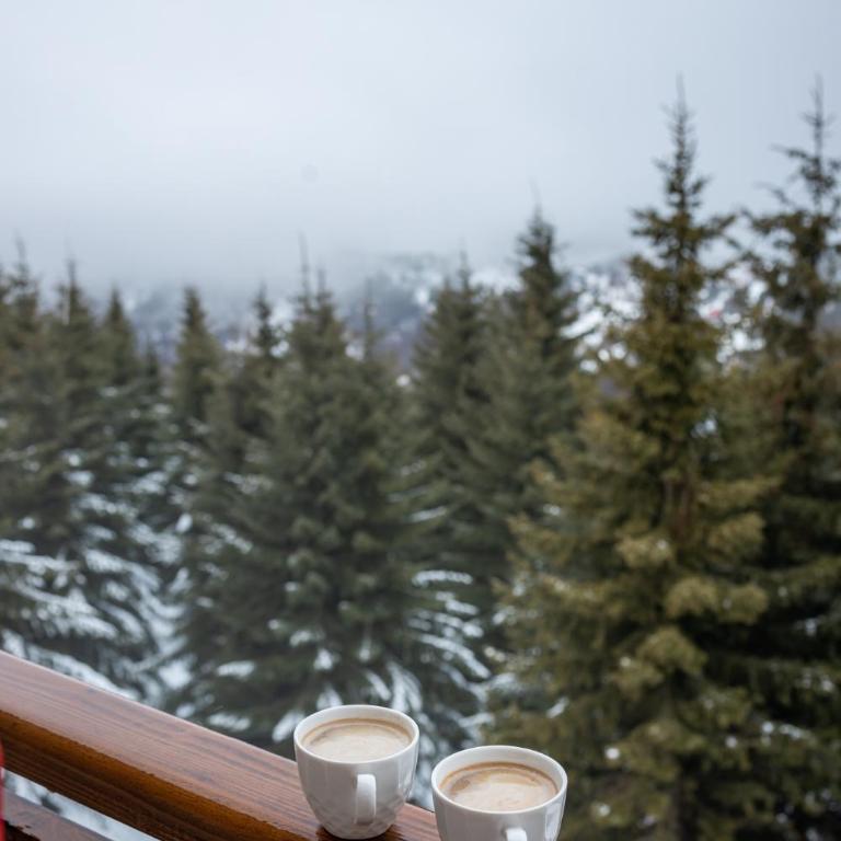 SUNČANI BREG RESORT & SPA apartment 14 Kopaonik - One-Bedroom Apartment - 8