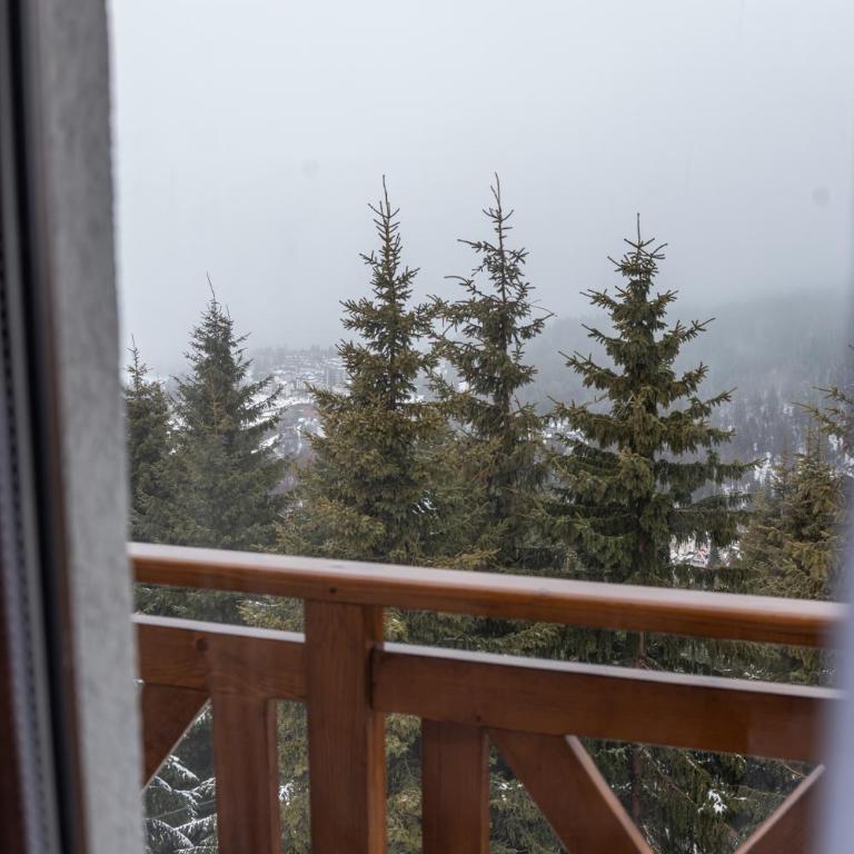 SUNČANI BREG RESORT & SPA apartment 14 Kopaonik - One-Bedroom Apartment - 13