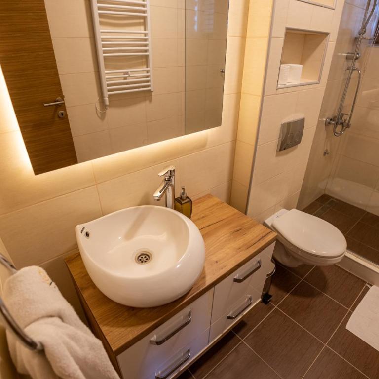 SUNČANI BREG RESORT & SPA apartment 14 Kopaonik - One-Bedroom Apartment - 23
