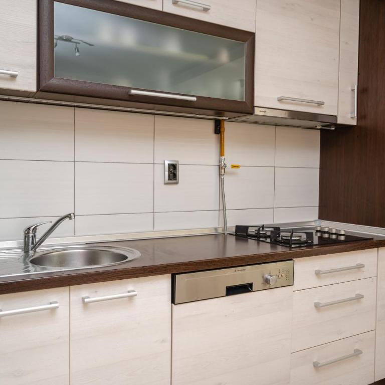 Bright 1BDR Apartment in the City Center - Apartman sa 1 Spavaćom Sobom - 15