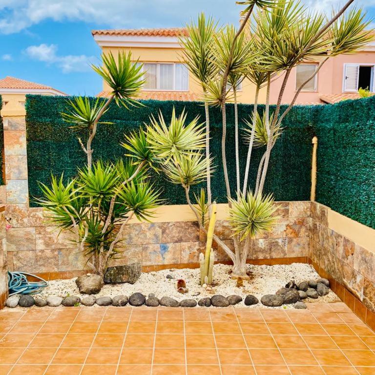 Casa de Acuario - Casa de 2 dormitorios - 13