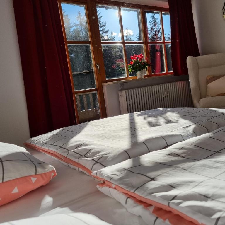 Water Lily Apartment - Apartment mit 1 Schlafzimmer - 5
