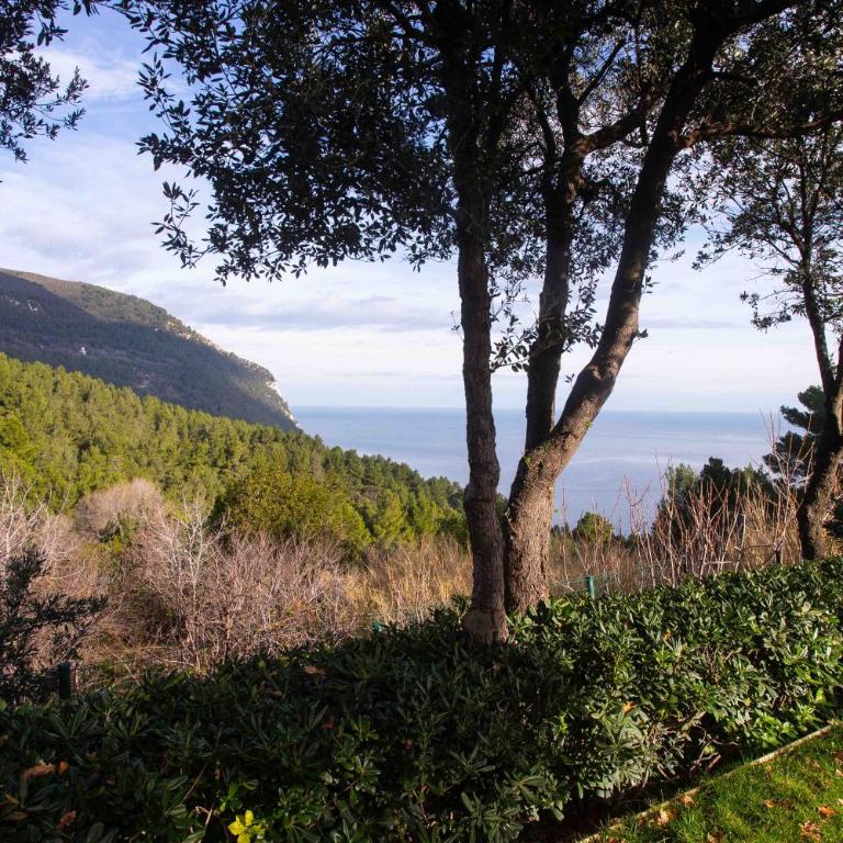 S099 - Sirolo, nuovo bilocale con meravigliosa vista mare - Appartamento con 1 Camera da Letto con Vista - 1