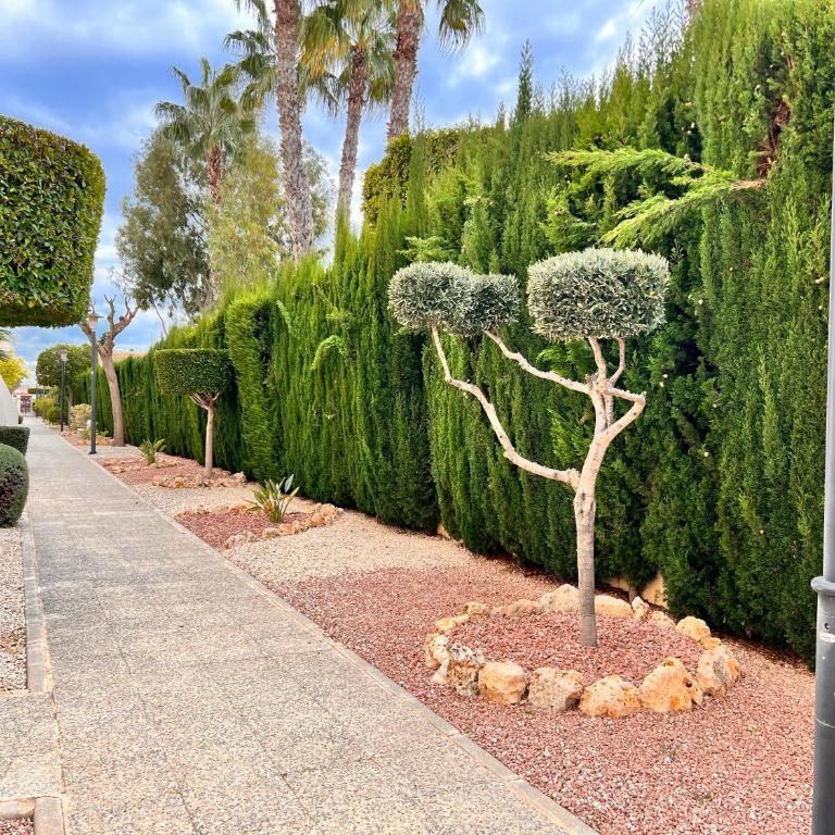 Gound Floor Bungalow Jumilla III Playa Flamenca - Apartamento de 2 dormitorios - 18