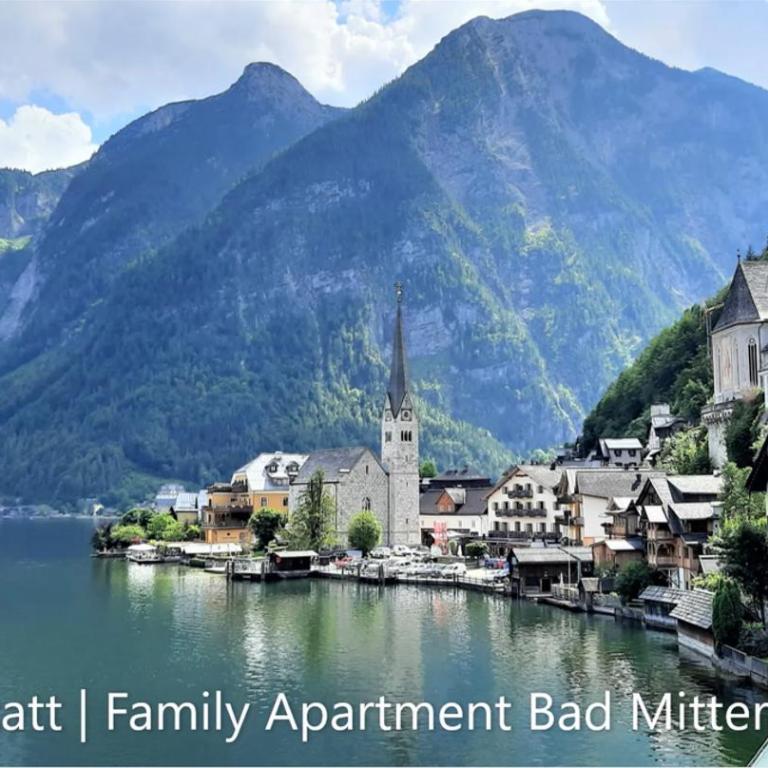 Amazing Family Apartment Bad Mitterndorf - visit Hallstatt, ski in Tauplitz - Apartment mit 1 Schlafzimmer - 21