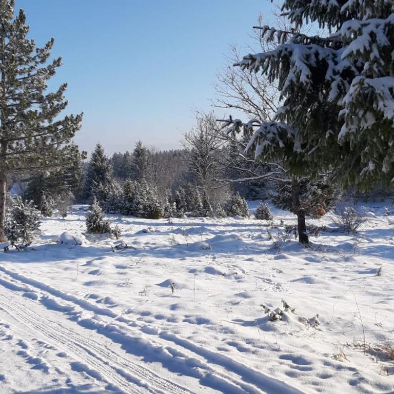 Tisina Tare - Kuća sa 2 Spavaće Sobe - 23