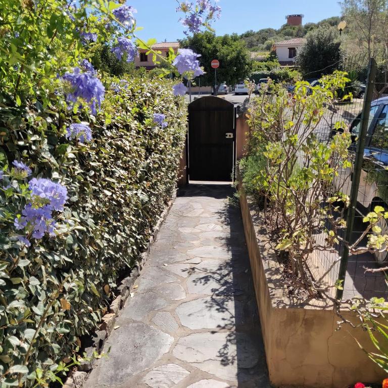 Appartamento Piano Terra Residence Geranium Beach - Appartamento con 1 Camera da Letto - 11