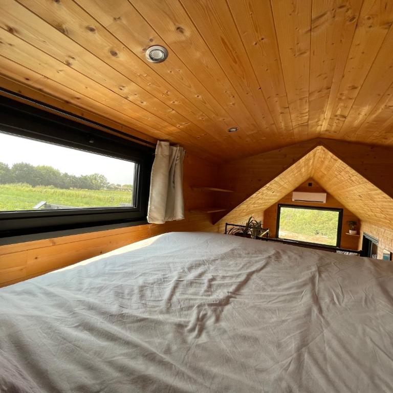 myinsolite - Tiny-house, jacuzzi, brasero, piscine - Chalet 1 Chambre - 35