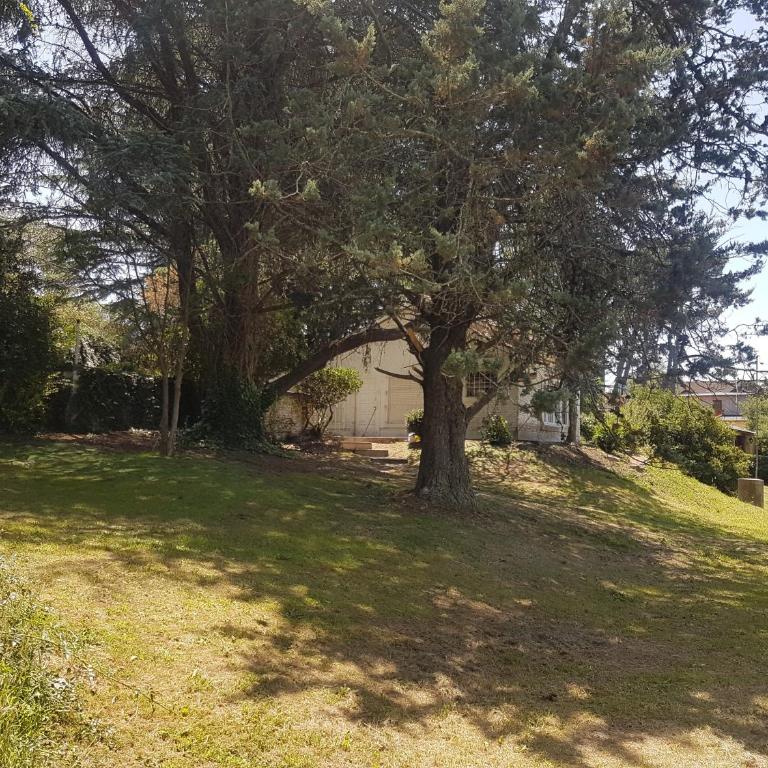 BLANCA Y OSCAR - Chalet - 3