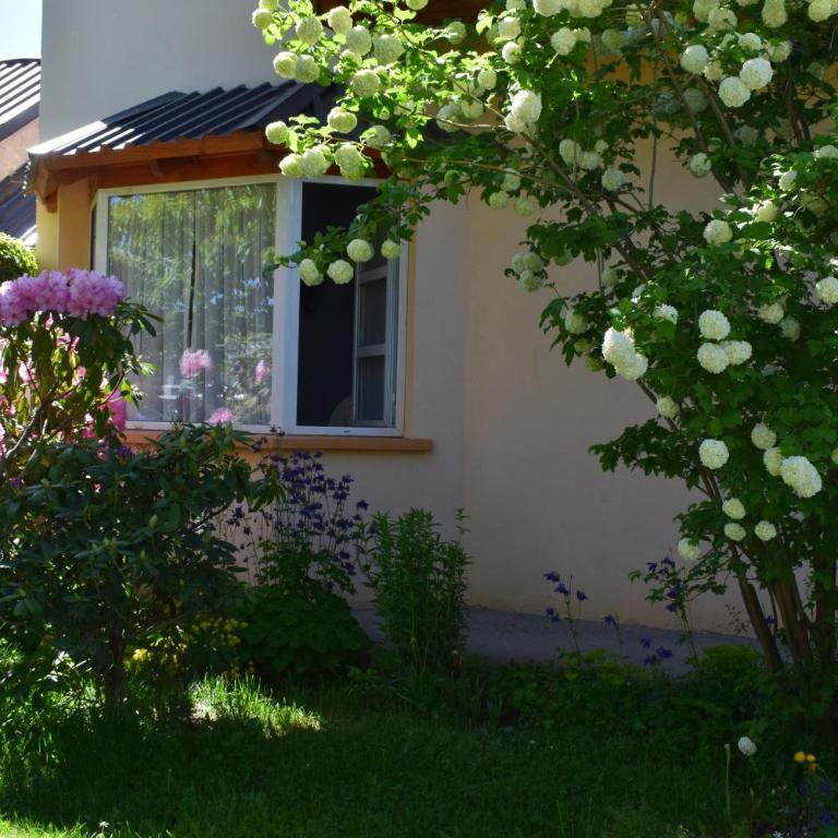 Montalto - Apartamento de 1 dormitorio - 15