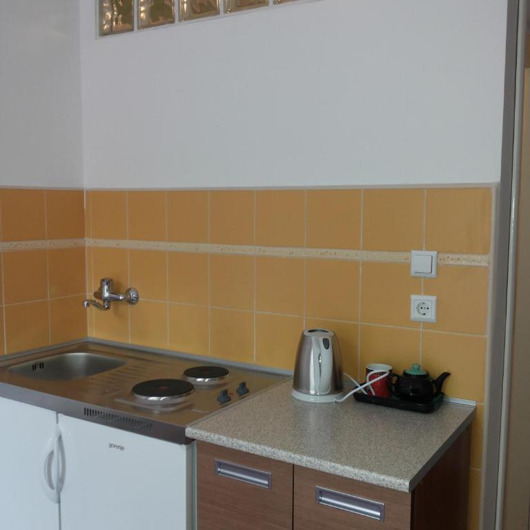 Studio Park - Studio s Pogledom na Reku - 20