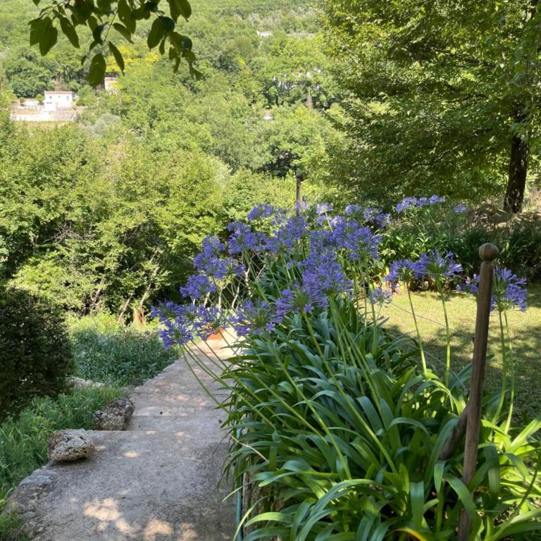 Maison avec jardin et vue - Le Pont du Loup 06 - Maison 2 Chambres - 15