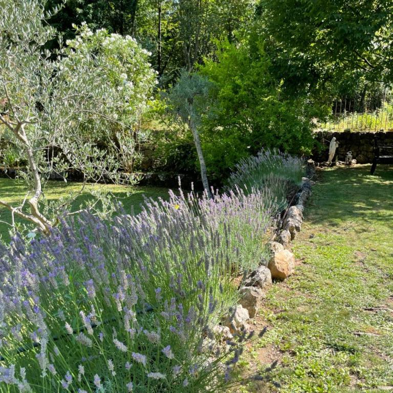 Maison avec jardin et vue - Le Pont du Loup 06 - Maison 2 Chambres - 12