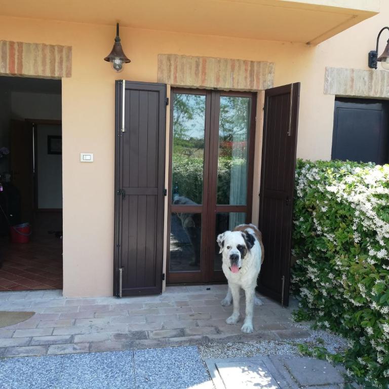 Conero mare campagna il Casale Le Maschere appartamenti - Casa con 2 Camere da Letto - 16