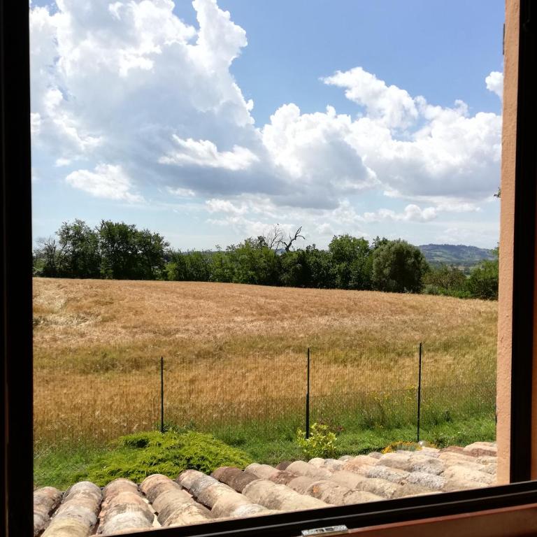 Conero mare campagna il Casale Le Maschere appartamenti - Casa con 2 Camere da Letto - 4