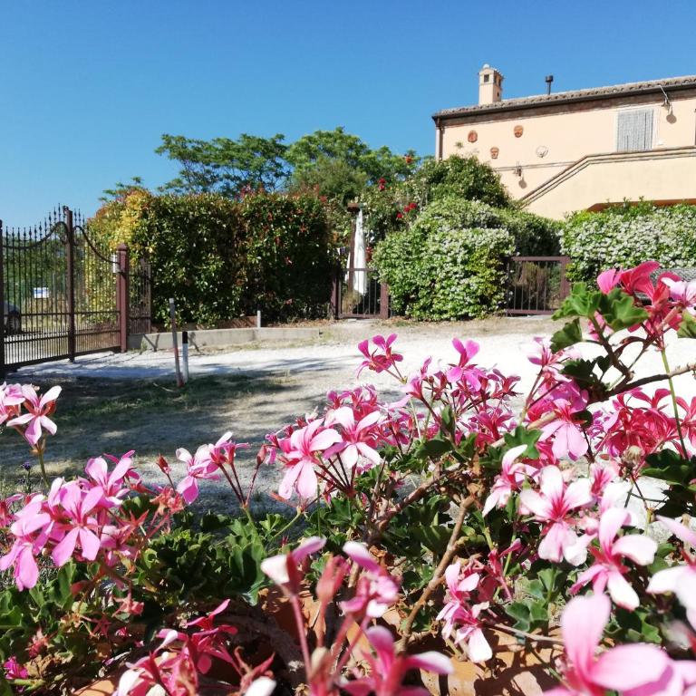 Conero mare campagna il Casale Le Maschere appartamenti - Casa con 2 Camere da Letto - 8