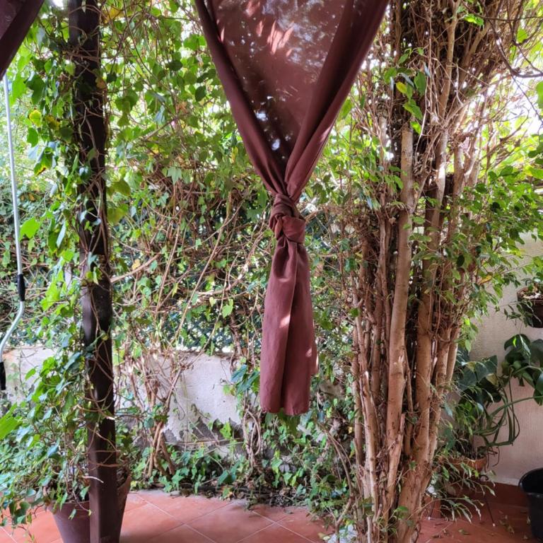 Casa baja preciosa con jardín privado en primera línea naturista! - Apartamento de 1 dormitorio - 26