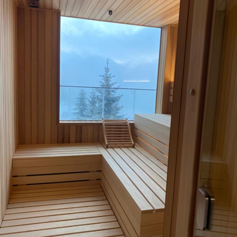 Silver View - One-Bedroom Apartment - 79