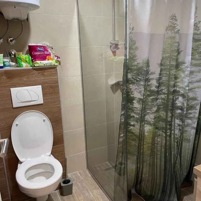 Studio apartman p13 - One-Bedroom Apartment - 18
