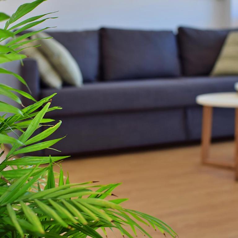 250m Playa/Beach, Wifi, A/A, Smart TV, Parking - One-Bedroom Apartment - 7