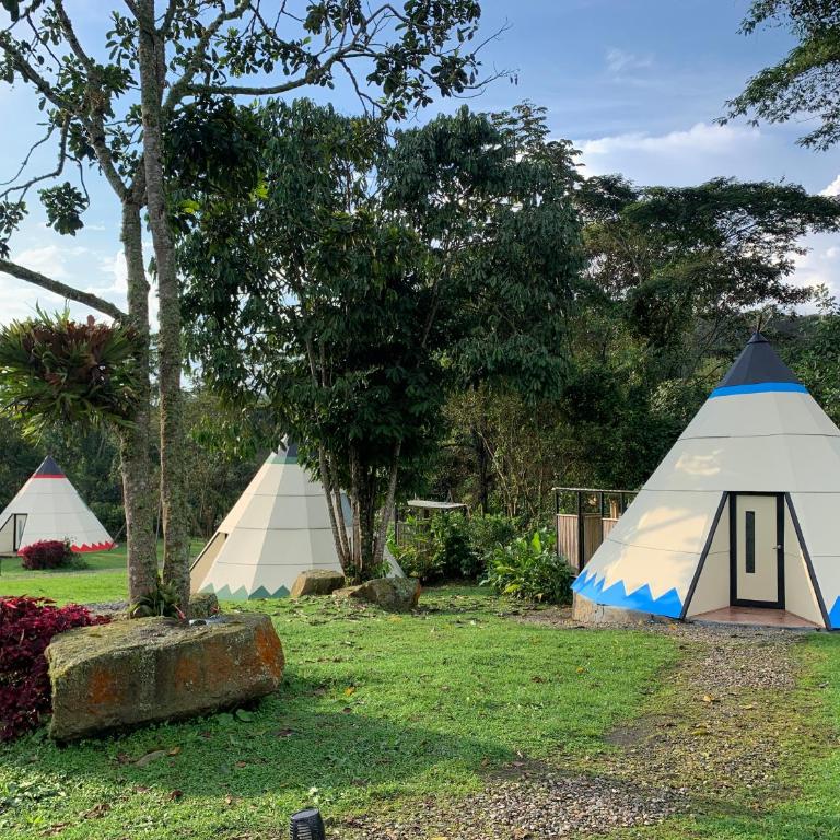 Bosque de Aventura & Glamping Refugio del Bosque - Habitación Doble - 1 o 2 camas - 2