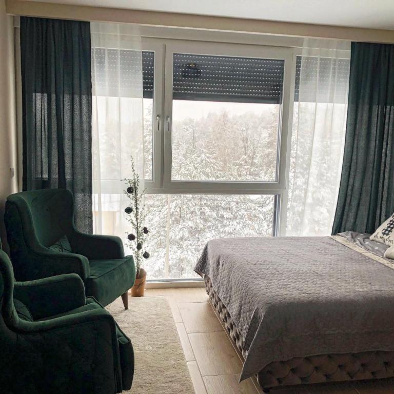Apartman Ambijent Divcibare - Deluks Studio sa Queen Krevetom - 1
