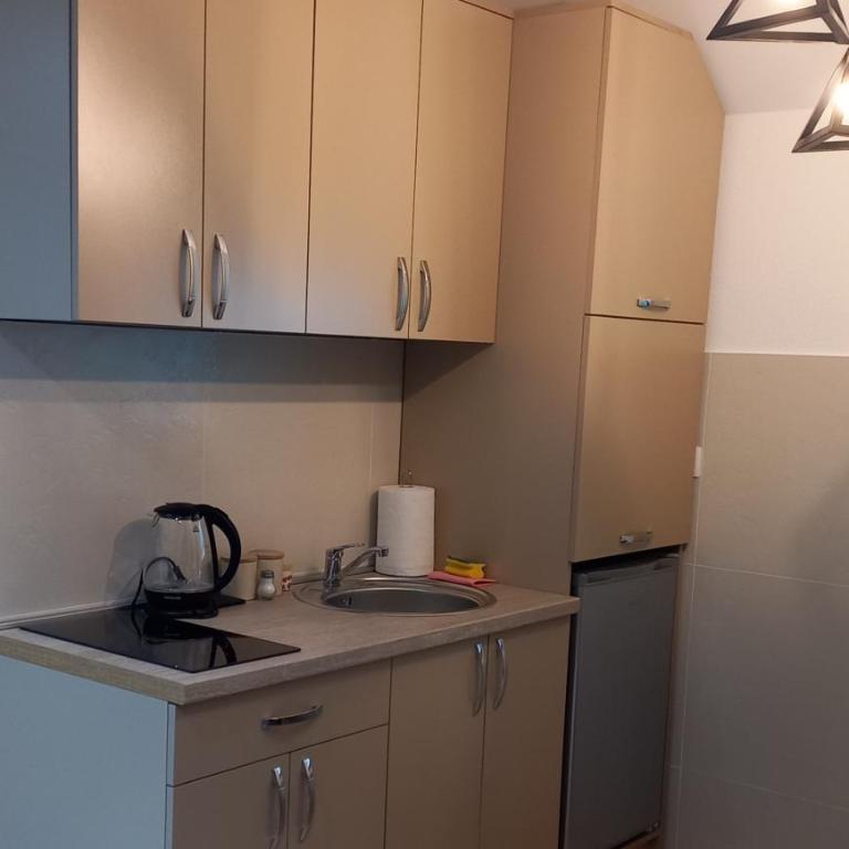 Cozy Home Kolasin - Apartman sa 1 Spavaćom Sobom - 7